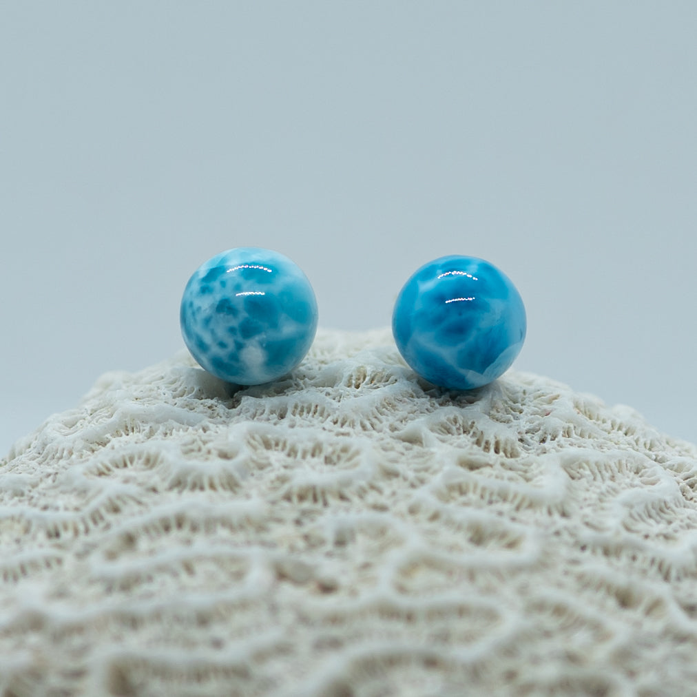 Coquillage blanc sur lequel sont posées deux perles bleues qui semblent être su Larimar de République Dominicaine. Plusieurs nuances de bleue sont visible sur les perles.