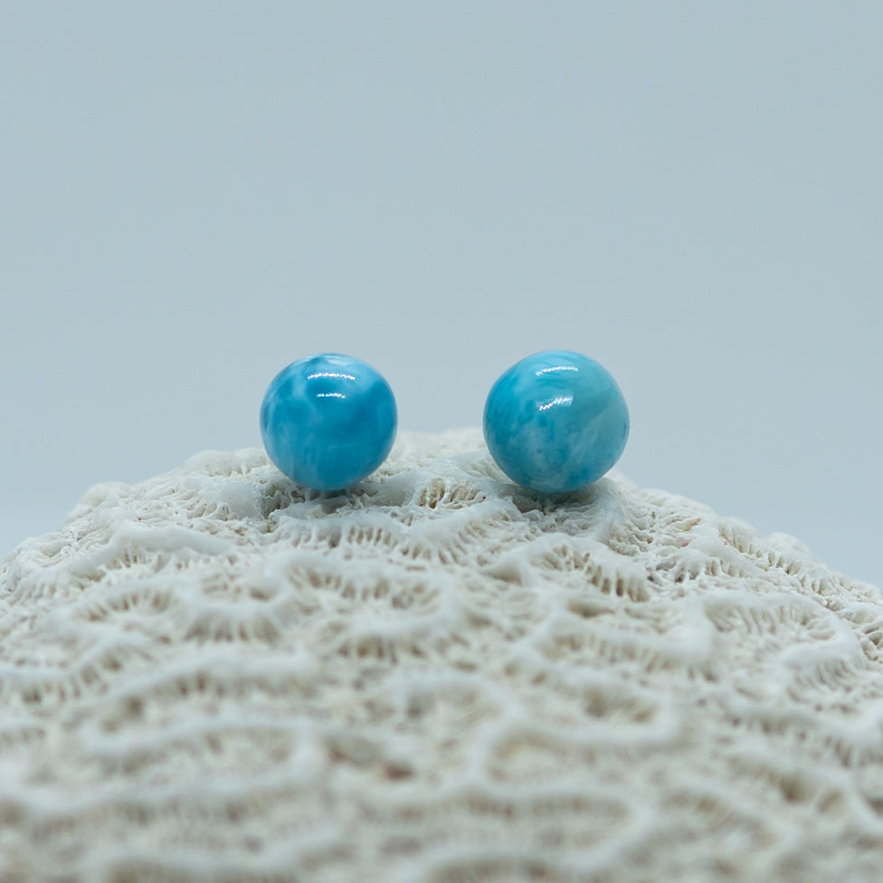 Deux perles de larimar de couleur bleu intense posées sur un coquillage de type corail, de couleur blanche. Les perles ont plusieurs nuances de bleu et ont un diamètre supérieur à 10mm.