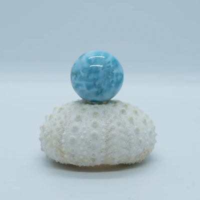 Boule taillée à la main en République Dominicaine, faite en Larimar de première qualité, de couleur bleue intense. Sphère posée sur un coquillage blanc.