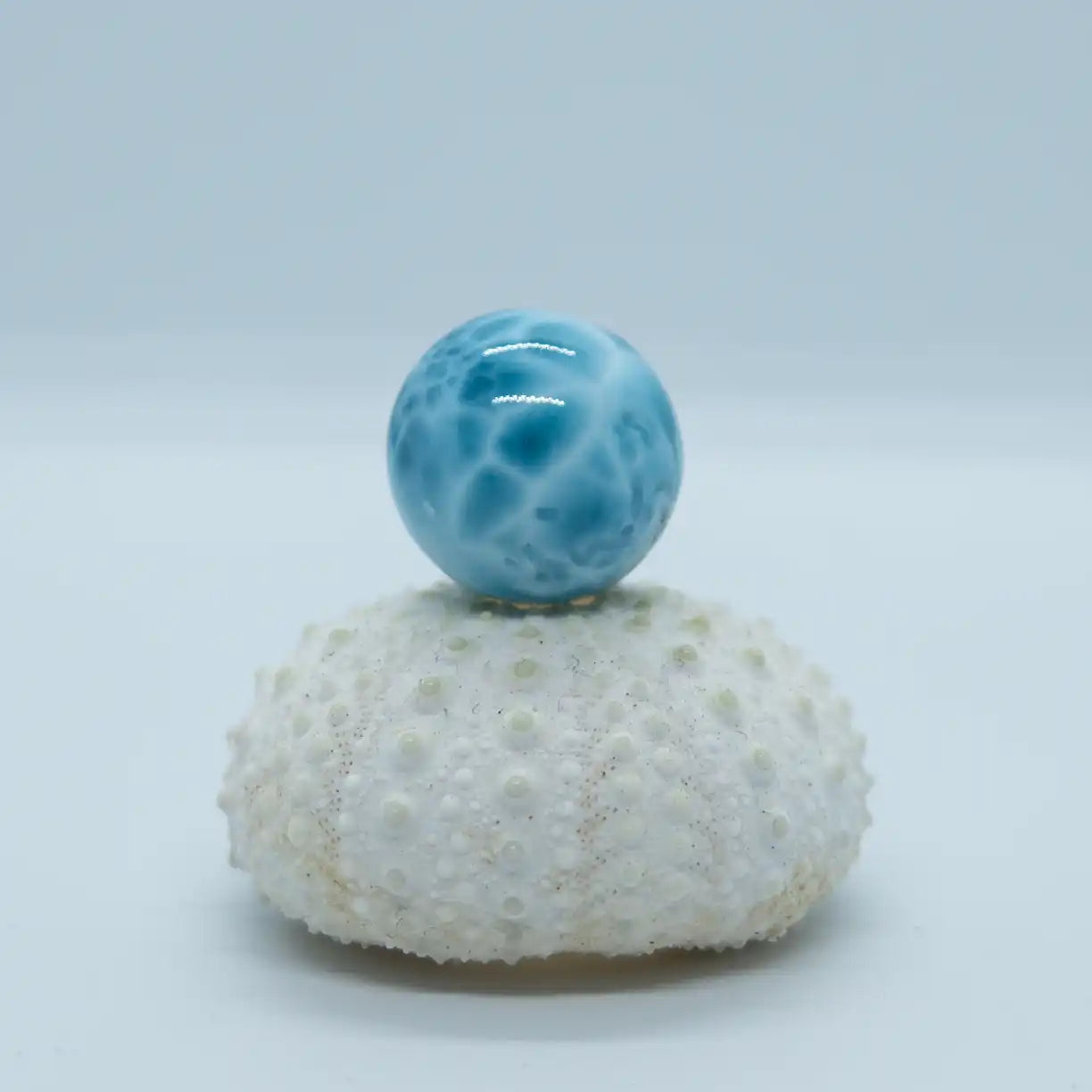 Sphère en Larimar de République Dominicaine de couleur bleue. Cette sphère est posée sur un coquillage blanc. Boule en Larimar d'un diamètre de 18mm.