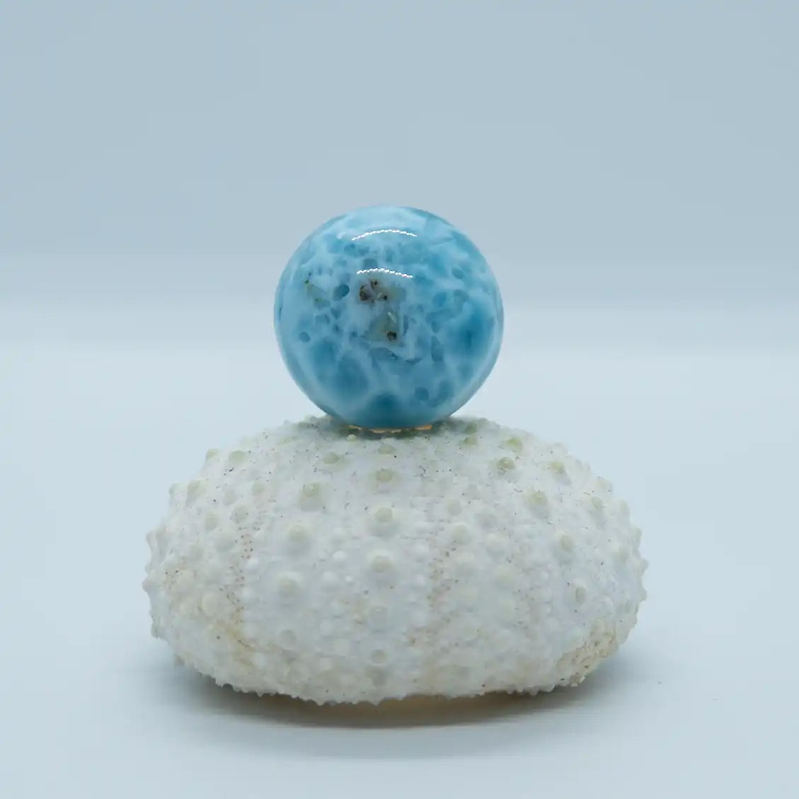 Sphère de 18mm posée sur un coquillage, faite en Larimar de couleur bleue de qualité supérieur. Il y a quelque petites inclusions de roche de couleur marron au centre de la sphère.